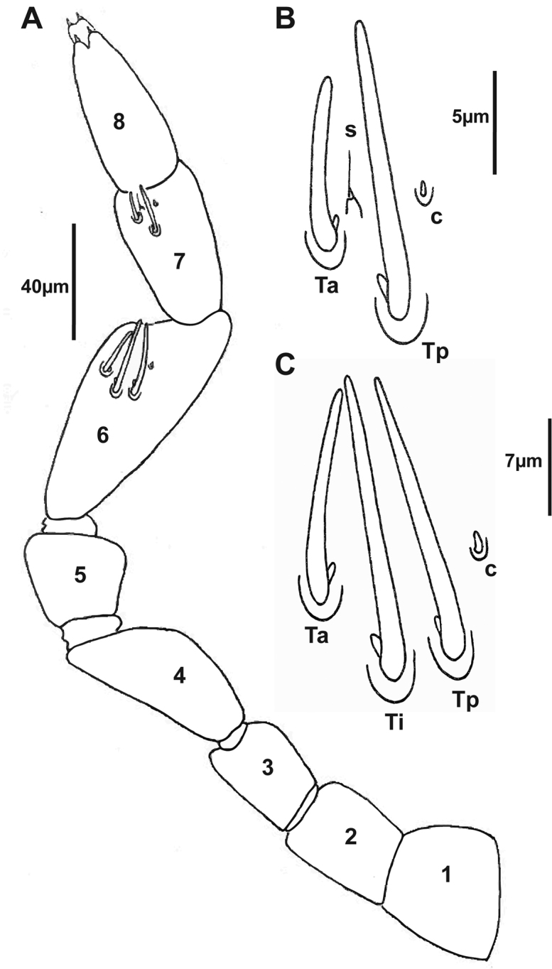 Figure 4.