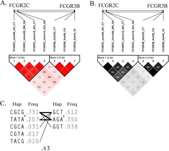 FIG 2