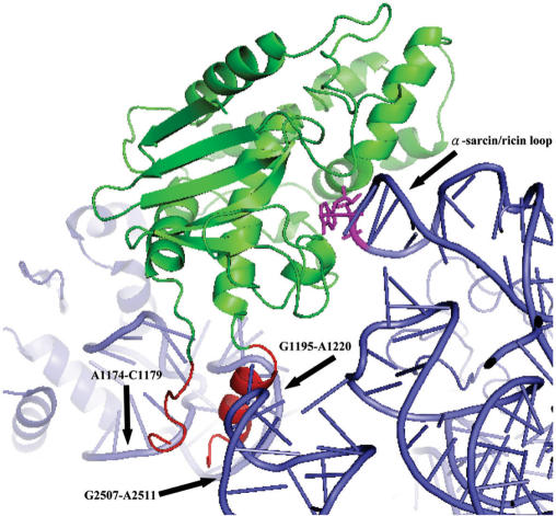 Figure 5.