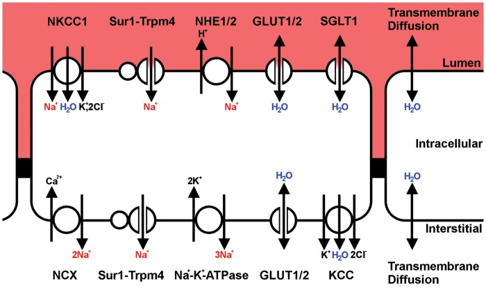 Figure 4.