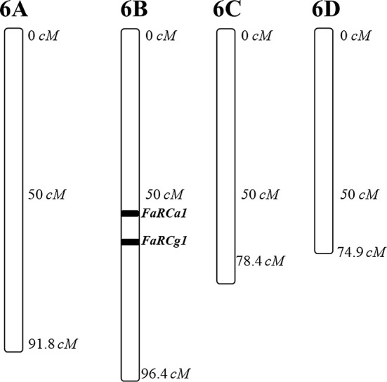 Fig. 6