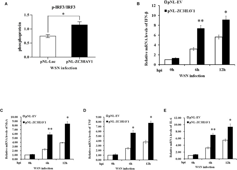 FIGURE 6