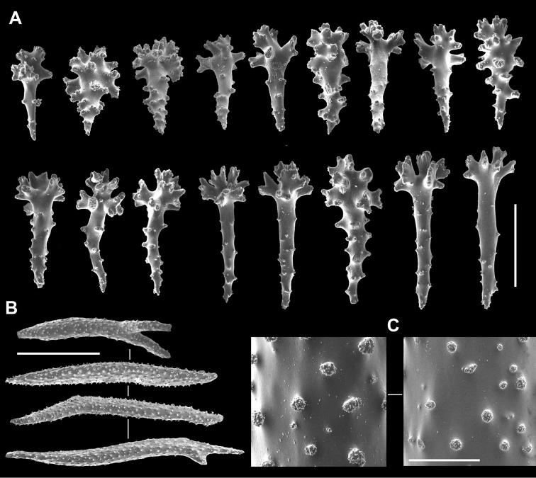 Figure 3.