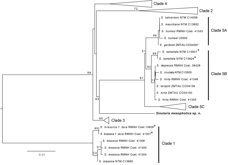 Figure 5.