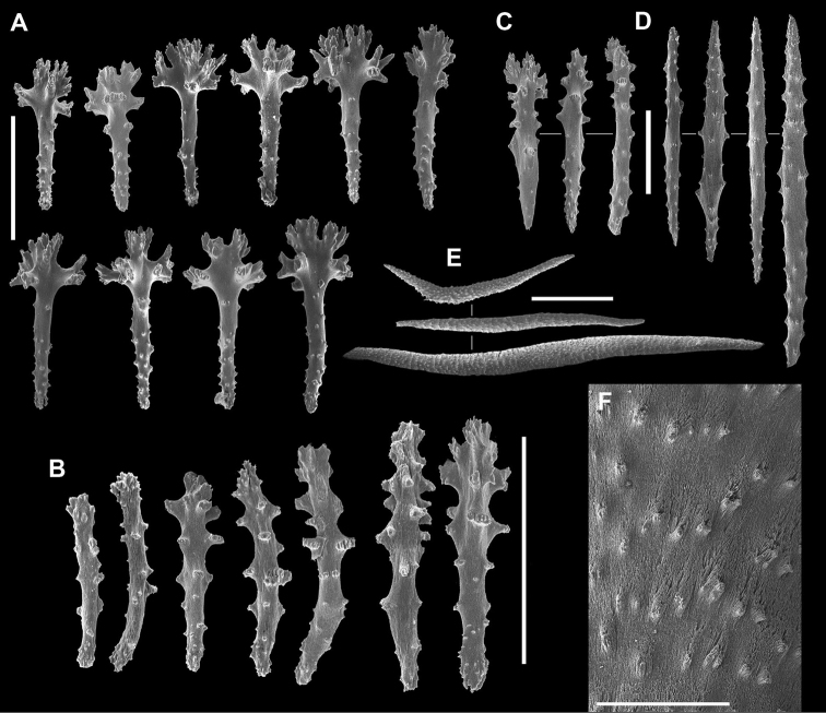 Figure 6.