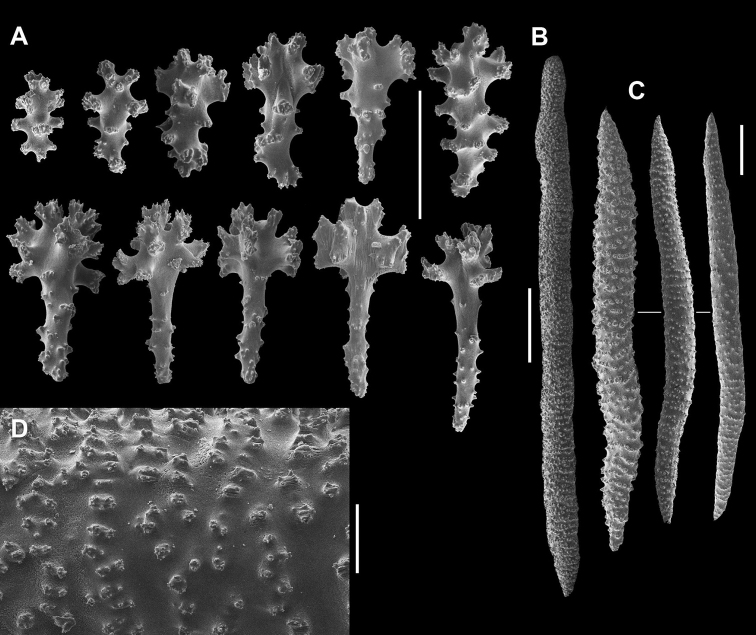 Figure 7.