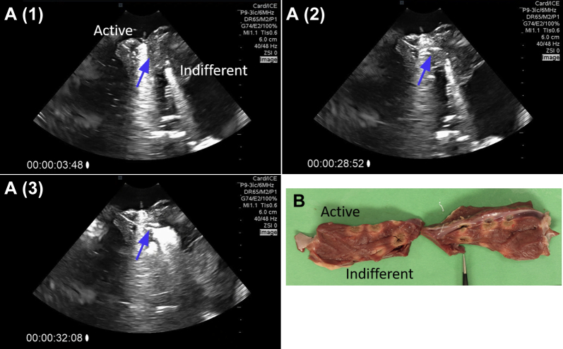 Figure 5