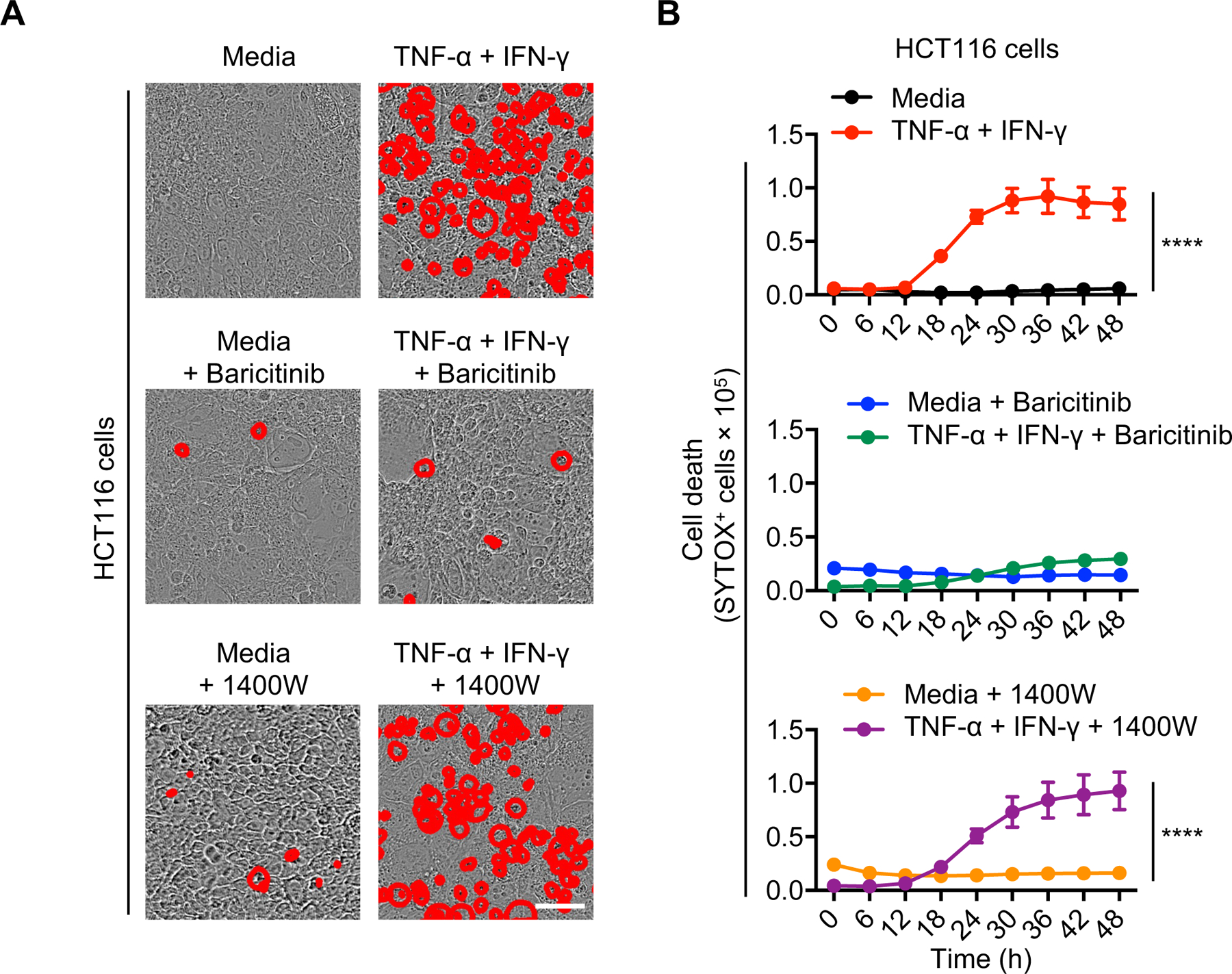 Figure 4: