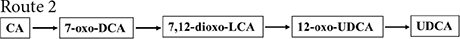 graphic file with name fmicb-14-1140662-i002.jpg