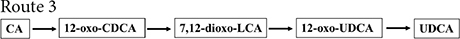 graphic file with name fmicb-14-1140662-i003.jpg