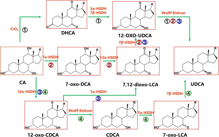 FIGURE 2