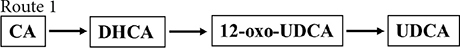 graphic file with name fmicb-14-1140662-i001.jpg