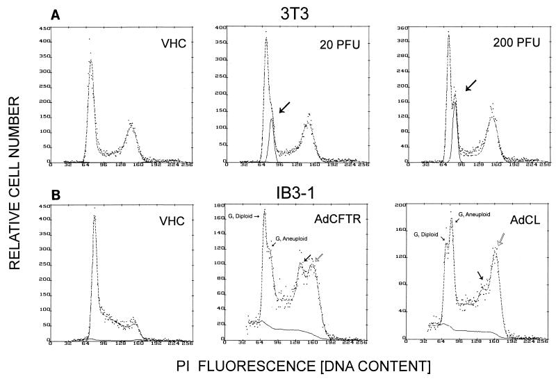 FIG. 7