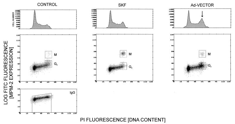 FIG. 1