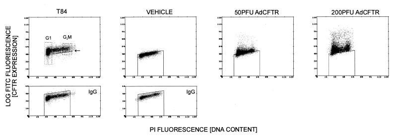 FIG. 6