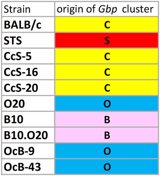 Figure 10