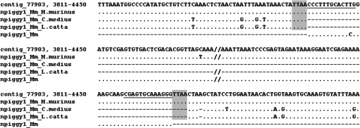 FIG. 7.—