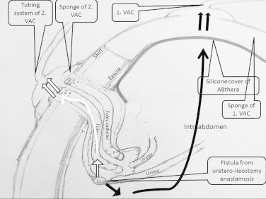 Fig. 8