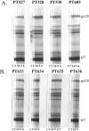 FIG. 8.