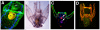 Fig. 4.