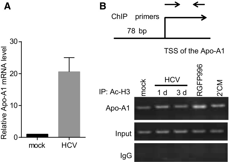 Fig. 4