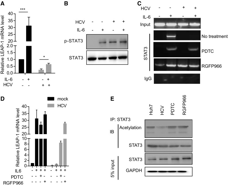 Fig. 6