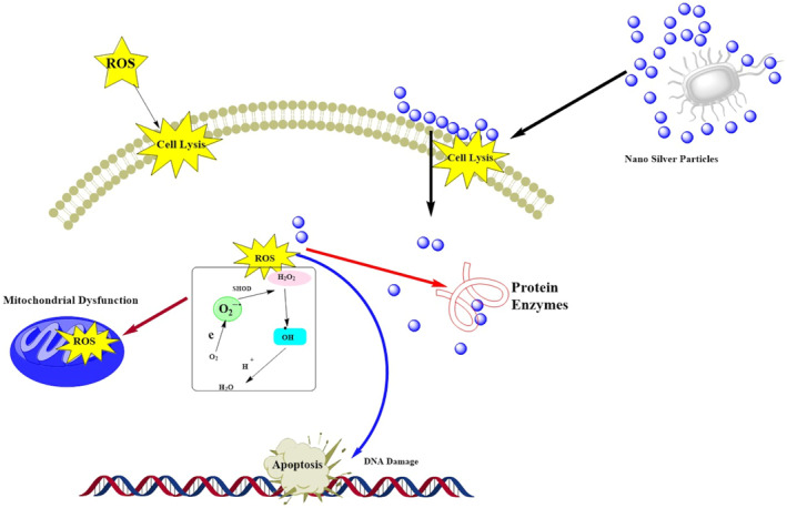 FIGURE 1