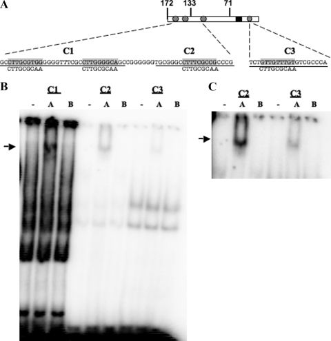 FIG. 7.