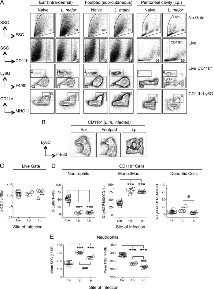 FIG 1