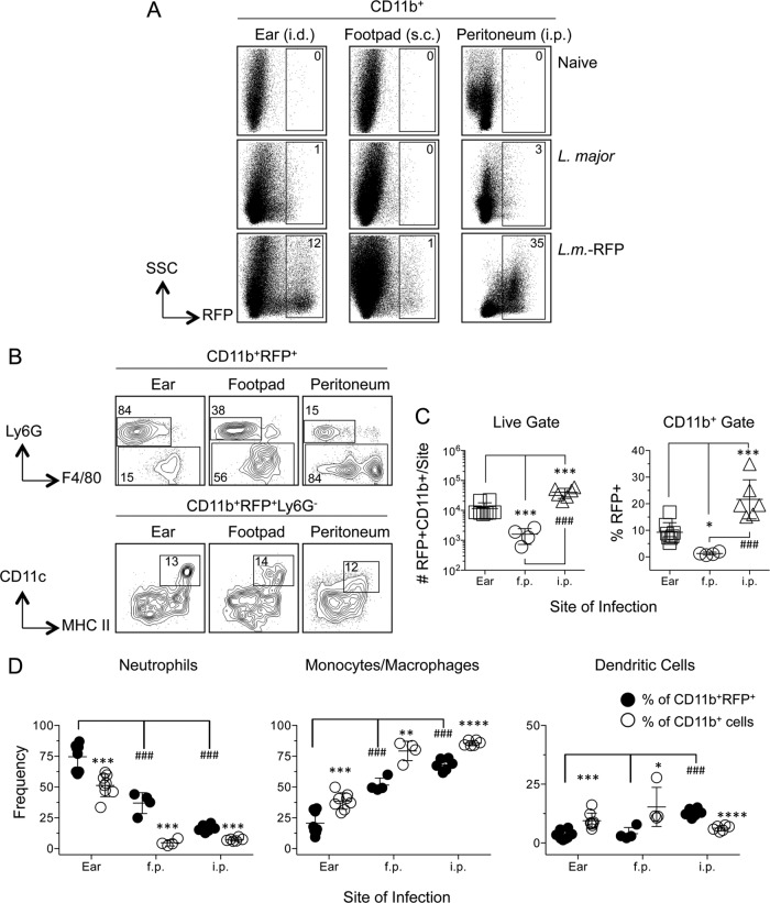 FIG 2