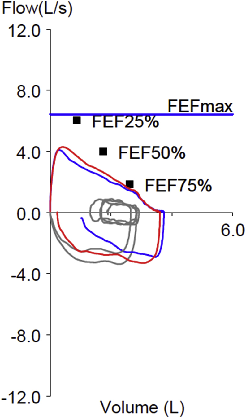 Fig. 1