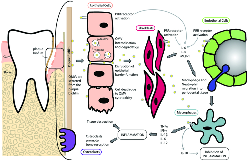 Figure 2: