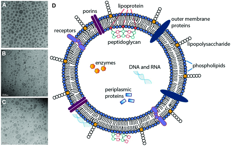 Figure 1: