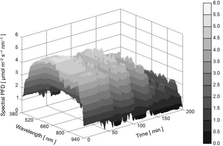 FIGURE 3