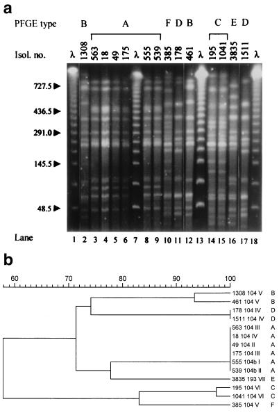 FIG. 1