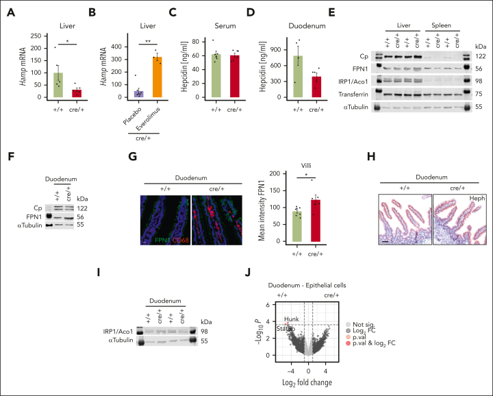 Figure 4.