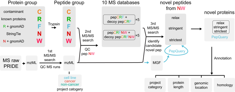Fig. 1
