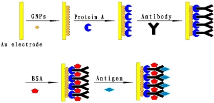 Scheme 1.