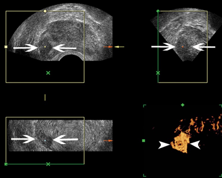 Figure 6