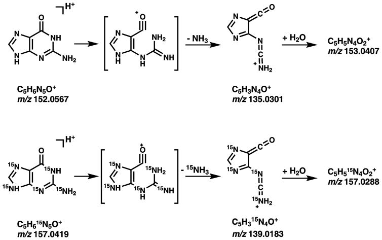 Scheme 3