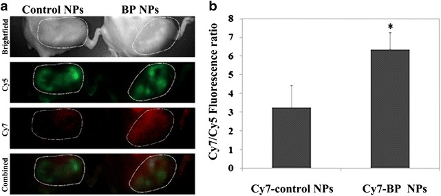 Fig. 6