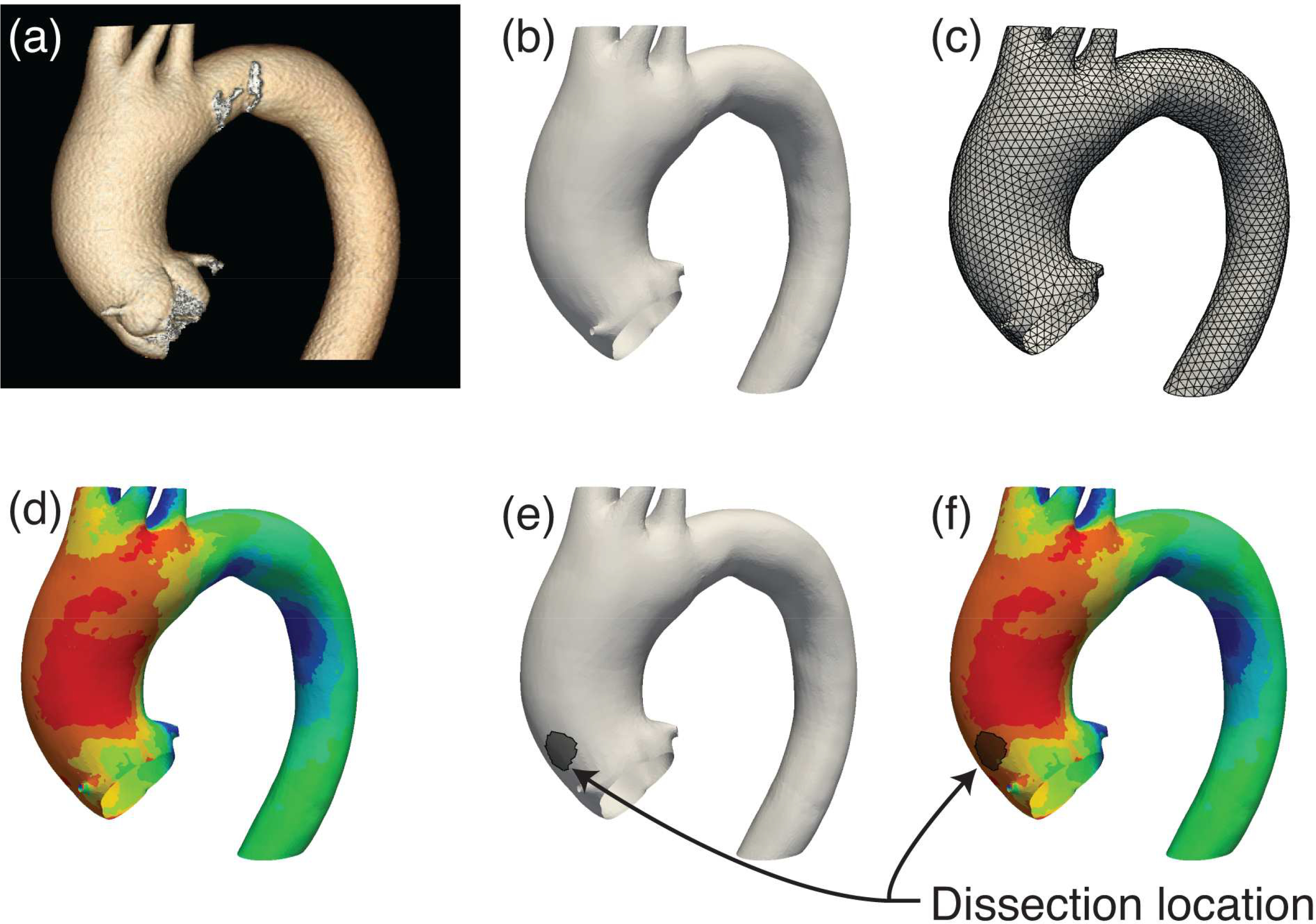 Figure 1: