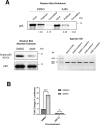 Fig 8