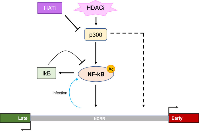 Fig 10