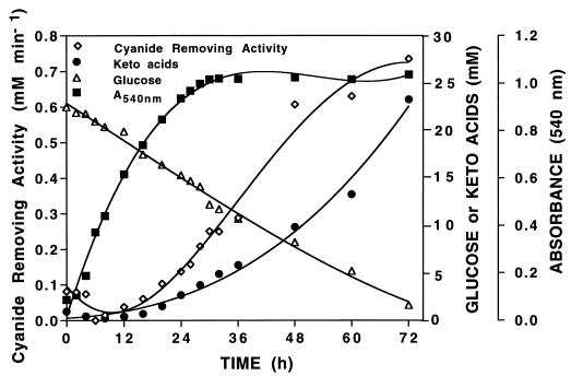 FIG. 1