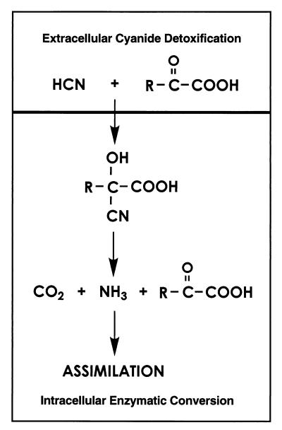 FIG. 6