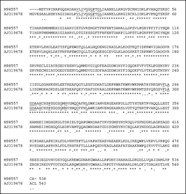 FIG. 5.