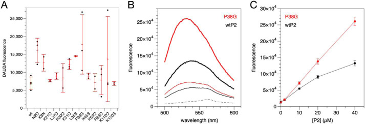 Figure 5.