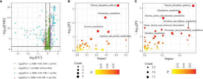 Figure 7