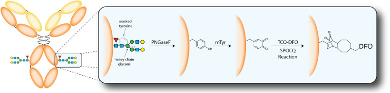 Scheme 2